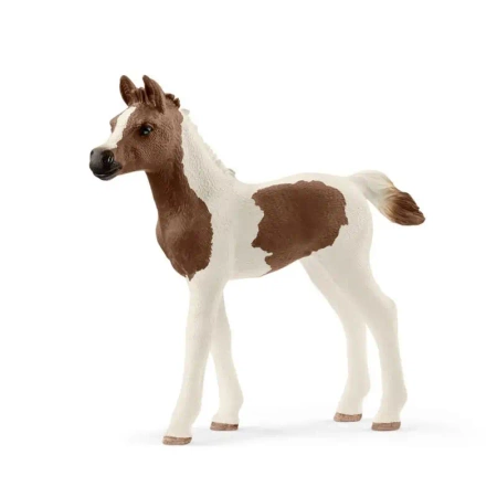 Schleich SCHLEICH Zrebie rasy Pintabian