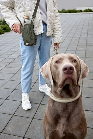 PALOPA Torebka saszetka na butelkę i smakołyki 2w1 Boudi dark olive