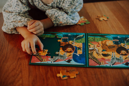 Mudpuppy Puzzle magnetyczne 2w1 Safari & dżungla 20 elementów 4+