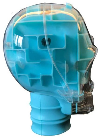 Dumel  Wyścig z Czasem Gra Zręcznościowa