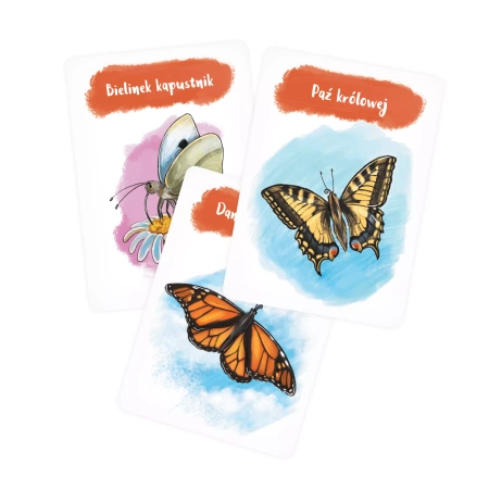 Albi Tycikarty Motyle