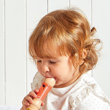 Janod Zestaw zabawek muzycznych Gioia 18m+