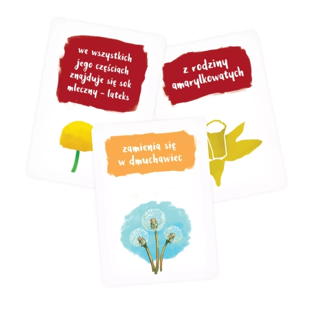 Albi Tycikarty Kwiaty