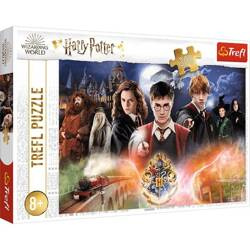 Puzzles Secret Harry Potter  Warner