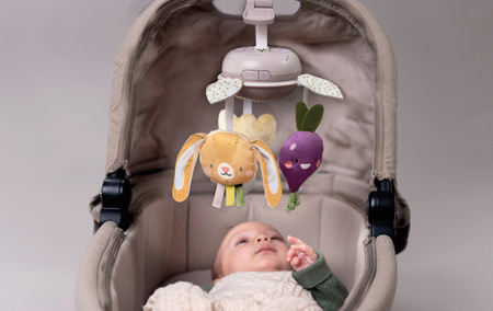 Taf Toys Muzyczna Karuzela "Garden" z Kolekcji Urban Garden