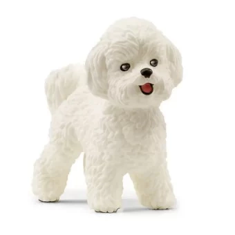 Schleich Pies Rasy Bichon Frise