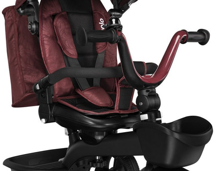 Lionelo Kori Rowerek Trójkołowy 2w1 Red Burgundy