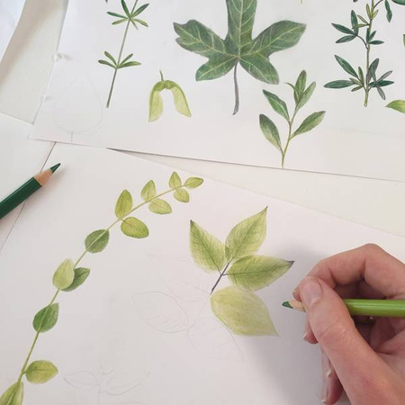 Makaszka Chustka Wiązana 100% Bamboo Herbarium