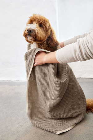 Palopa Ręcznik dla Psa Nobs Taupe M-L