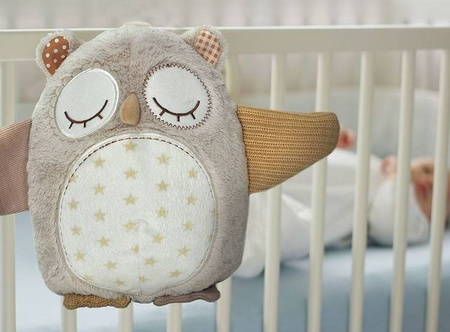 Cloud B Nighty Night Owl Smart Sensor  Szumiąca Sowa z Czujnikiem Dźwięku i Pozytywką