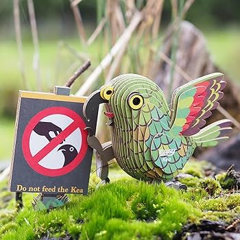 Eugy Eko 3D Układanka Papuga Kea