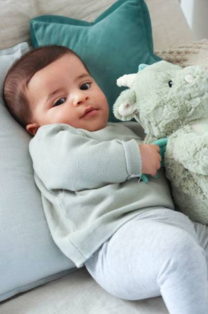 Cloud B Szumiący Smok z Czujnikiem Ruchu i Pozytywką Drake The Dragon