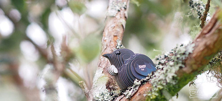 Eugy Eko 3D Układanka Ptak Kędziornik