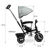 Toyz Buzz Rowerek 3 Kołowy Grey