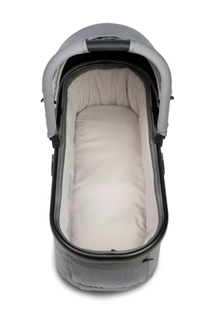 Mast M.Twin x Gondola Lion