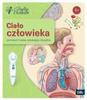 Ciało Człowieka