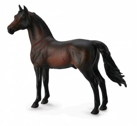 Collecta Koń Morgan Stallion - Bay