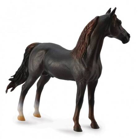 Collecta Ogier Morgan Stallion Maści Kasztanowej