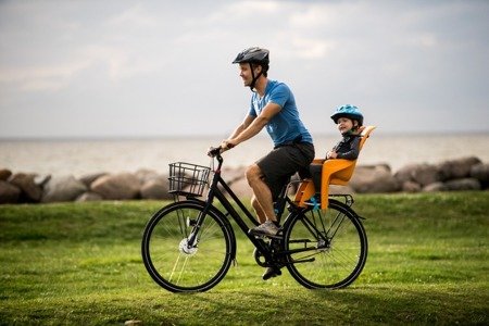 Fotelik rowerowy - THULE RideAlong Lite Szary